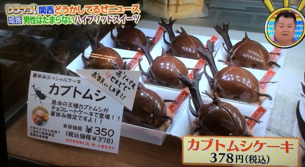 【ウラマヨ!】カブトムシと幼虫のチョコレートケーキ!?（2016/10 ...