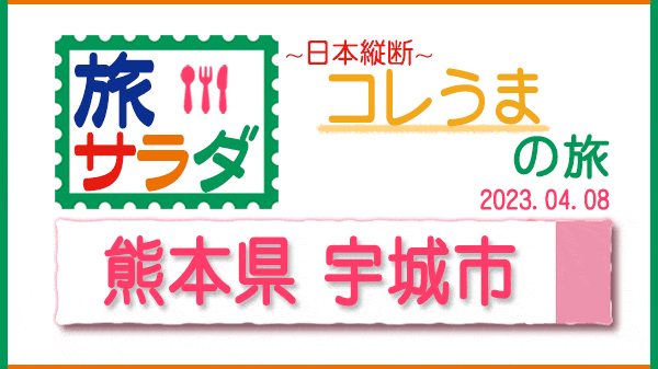 旅サラダ コレうま 熊本県 宇城市