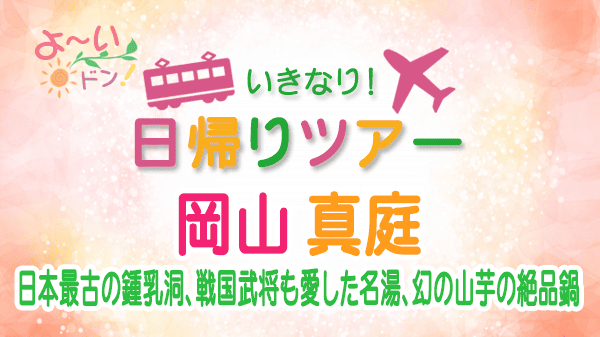 よーいドン いきなり日帰りツアー 岡山県 真庭市