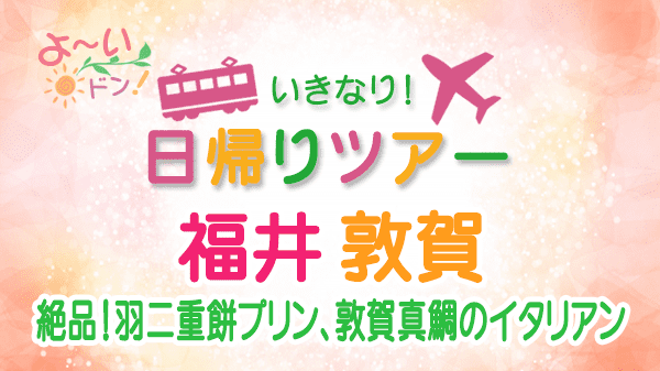 よーいドン いきなり日帰りツアー 福井県 敦賀市