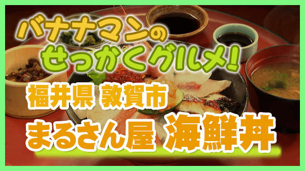 バナナマンのせっかくグルメ 福井県 敦賀市 まるさん屋 海鮮丼 お刺身丼