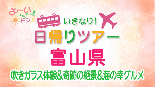 よーいドン いきなり日帰りツアー 富山県