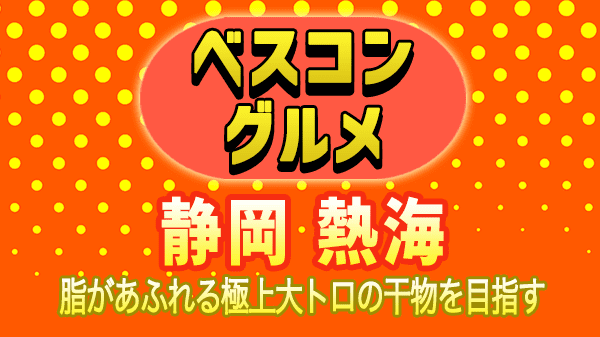 ベスコングルメ 静岡県 熱海市