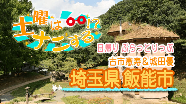 土曜はナニする 日帰り ぷらっとりっぷ 埼玉県 飯能市 古市憲寿 城田優