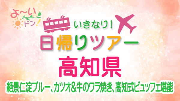 よーいドン いきなり日帰りツアー 高知県