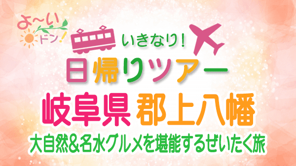 よーいドン いきなり日帰りツアー 岐阜県 郡上八幡