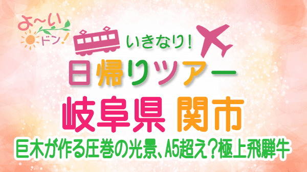 よーいドン いきなり日帰りツアー 岐阜県 関市