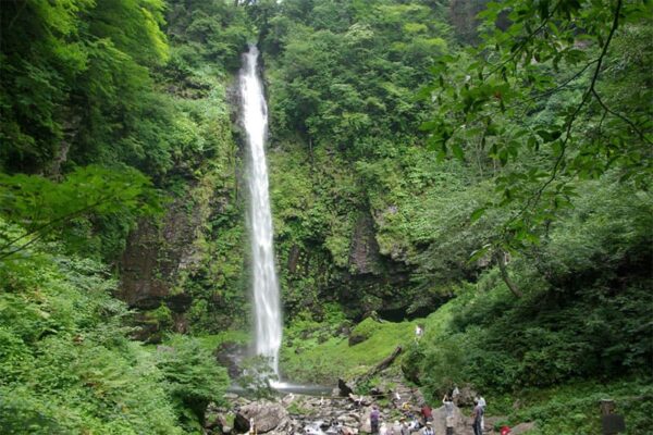 よーいドン いきなり日帰りツアー 岐阜県 郡上八幡 阿弥陀ヶ滝