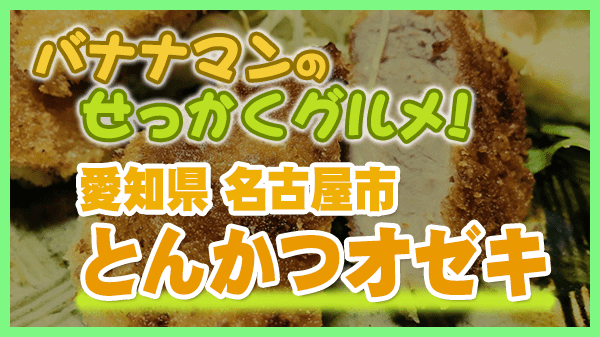 バナナマンのせっかくグルメ 愛知県 名古屋市 とんかつオゼキ 焼きとんかつ