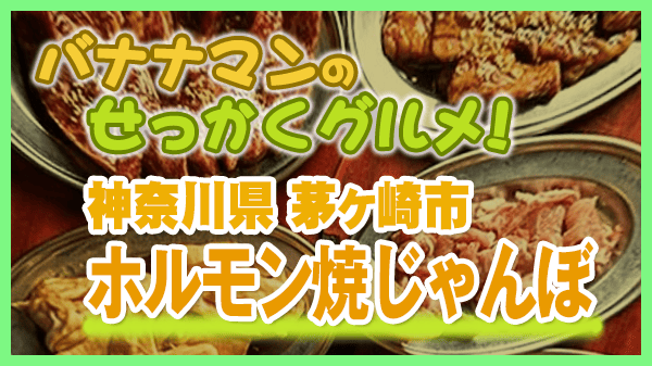 バナナマンのせっかくグルメ 神奈川県 湘南 茅ケ崎 ホルモン焼じゃんぼ