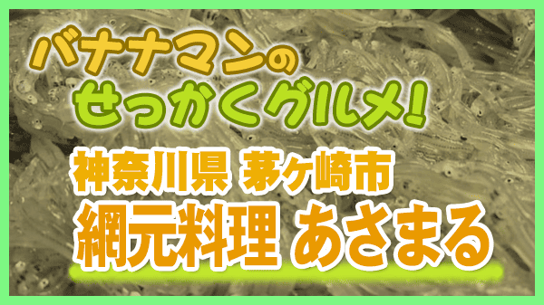 バナナマンのせっかくグルメ 神奈川県 湘南 茅ケ崎 網元料理 あさまる しらす丼