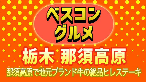 ベスコングルメ 栃木県 那須高原 スーテキ ミスタービーフ