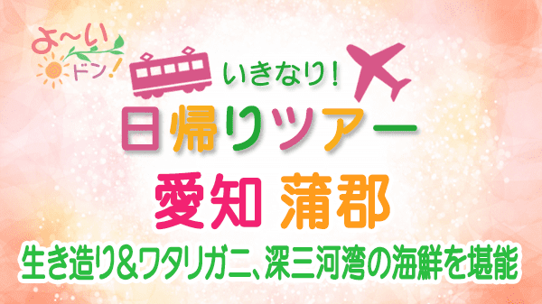 よーいドン いきなり日帰りツアー 愛知県 蒲郡市