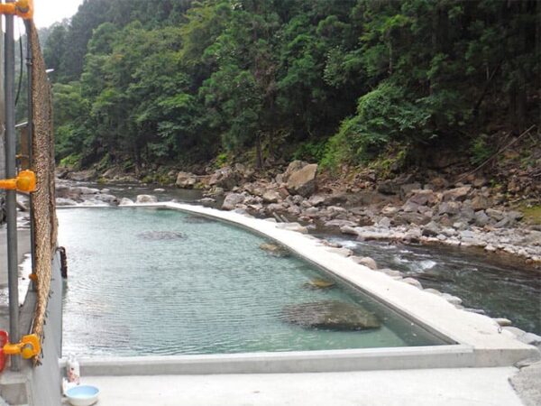 よーいドン いきなり日帰りツアー 奈良県 十津川村 上湯温泉