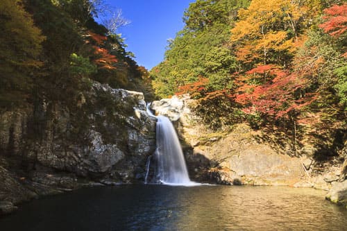 よーいドン いきなり日帰りツアー 奈良県 十津川村 マイナスイオンの滝