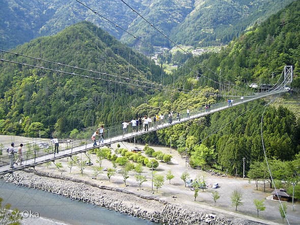 よーいドン いきなり日帰りツアー 奈良県 十津川村 谷瀬の吊り橋