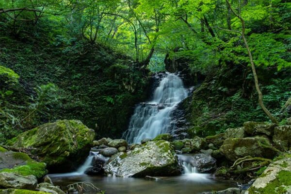 よーいドン いきなり日帰りツアー 岐阜県 飛騨高山 高山市 宇津江四十八滝