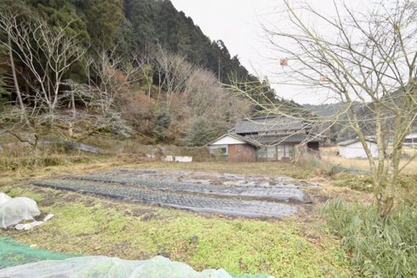 よ～いドン あいLOVE 週末 田舎暮らし 兵庫県 姫路市