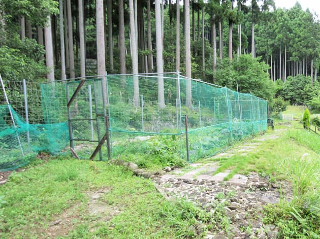 よ～いドン あいLOVE 週末 田舎暮らし 兵庫県 丹波市