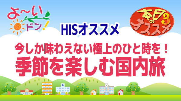 よ～いドン おすすめ３ H.I.S 国内旅行