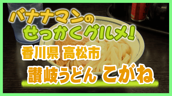 バナナマンのせっかくグルメ 香川県 高松市 讃岐うどん こがね