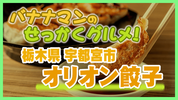 バナナマンのせっかくグルメ 栃木県 宇都宮市 オリオン餃子 本店 宇都宮餃子 豚骨醤油ラーメン