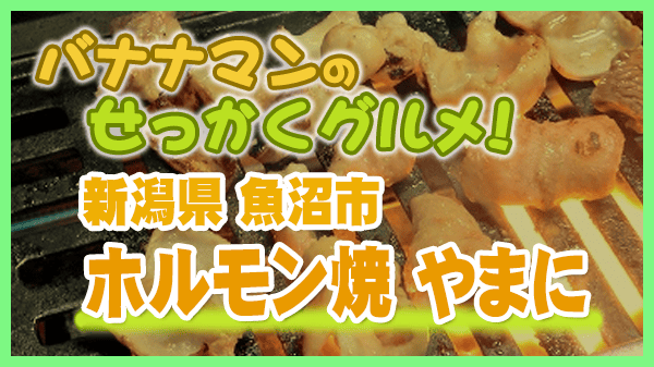 バナナマンのせっかくグルメ 新潟県 魚沼市 ホルモン焼 やまに