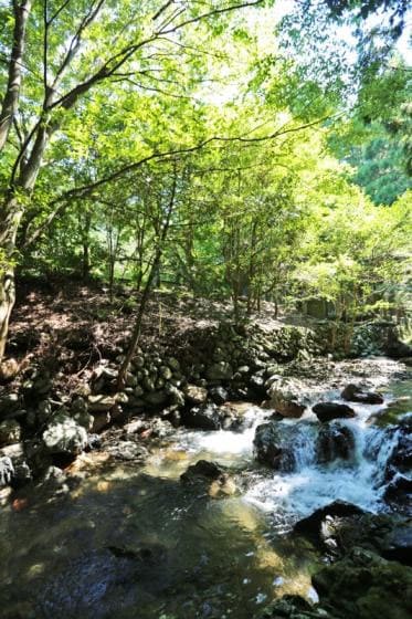 よーいドン あいLOVE 週末 田舎暮らし 三重県 伊勢市