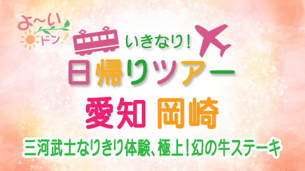 よーいドン いきなり日帰りツアー 愛知県 岡崎市