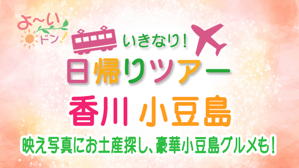 よーいドン いきなり日帰りツアー 香川 小豆島