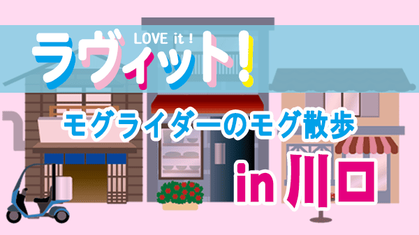 ラヴィット LOVEit ラビット モグライダーのモグ散歩 川口