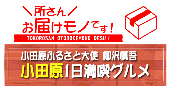 所さん お届けモノです 小田原ふるさと大使 柳沢慎吾 小田原 1日満喫グルメ