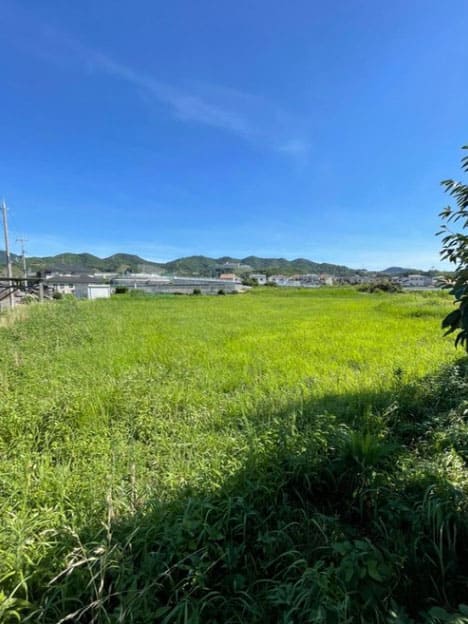 よーいドン あいLOVE 週末 田舎暮らし 大阪 阪南市