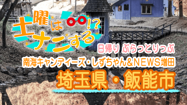 土曜はナニする 日帰り ぷらっとりっぷ 南海キャンディーズ しずちゃん ＮＥＷＳ 増田貴久 埼玉県 飯能市