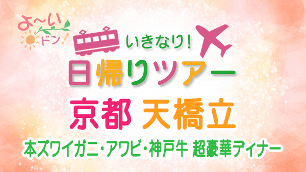 よーいドン いきなり日帰りツアー 京都 天橋立