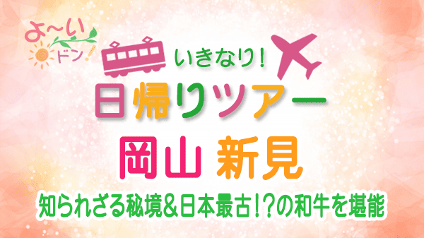 よーいドン いきなり日帰りツアー 岡山 新見 千屋牛