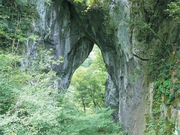 よーいドン いきなり日帰りツアー 岡山 新見 羅生門