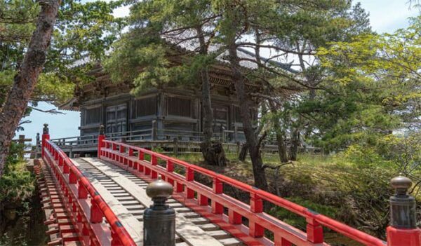 よーいドン いきなり日帰りツアー 宮城県 松島