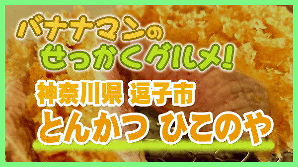 バナナマンのせっかくグルメ 神奈川県 逗子市 とんかつ ひこのや