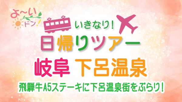 よーいドン いきなり日帰りツアー 岐阜県 下呂温泉