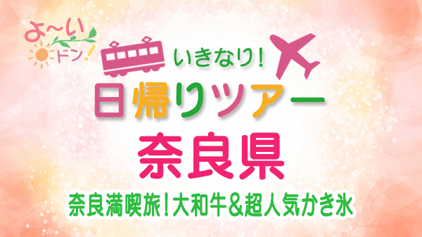 よーいドン いきなり日帰りツアー 奈良県