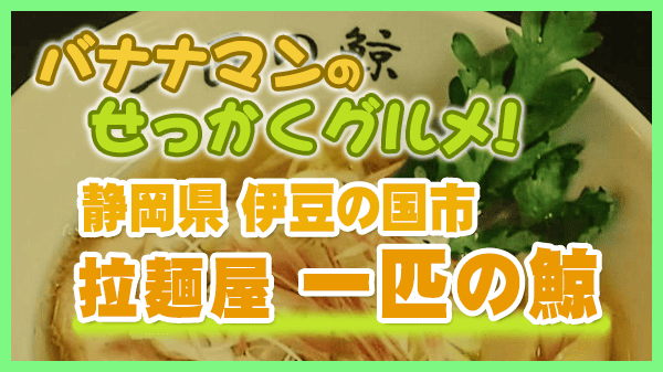 バナナマンのせっかくグルメ 静岡県 伊豆の国市 ラーメン 一匹の鯨