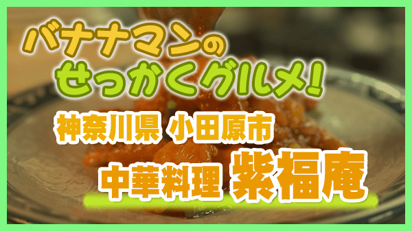 バナナマンのせっかくグルメ 神奈川県 小田原市 中華料理 紫福庵