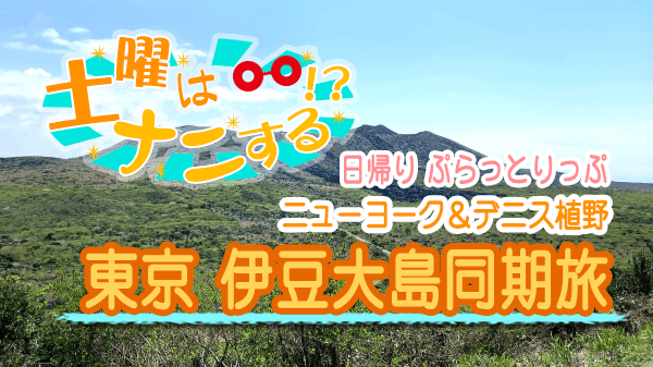 土曜はナニする 日帰り ぷらっとりっぷ ニューヨーク デニス植野 東京 伊豆大島 同期旅