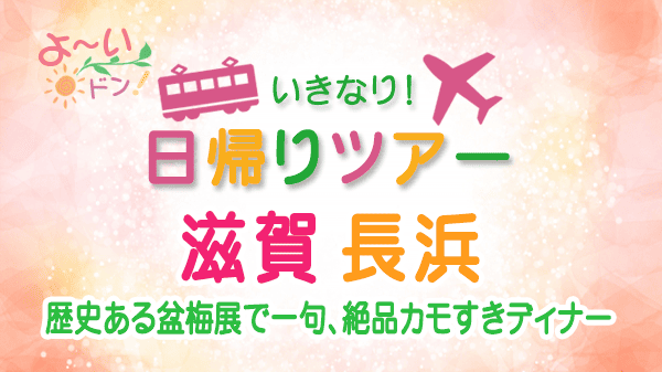 よーいドン いきなり日帰りツアー 滋賀県 長浜市