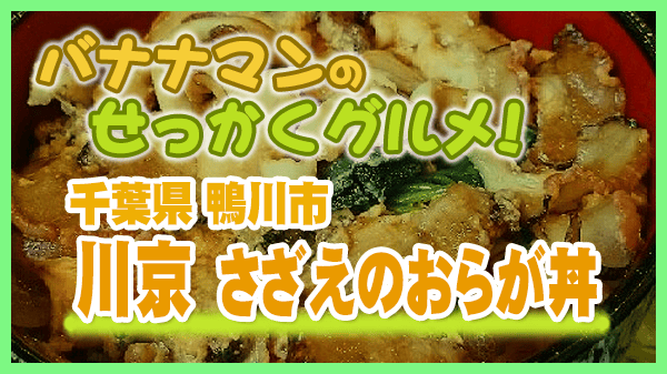 バナナマンのせっかくグルメ 千葉県 鴨川市 川京 さざえのおらが丼