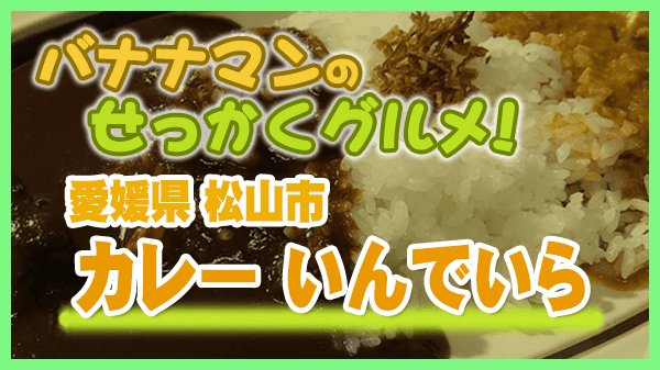 バナナマンのせっかくグルメ 愛媛県 松山市 カレー いんでいら