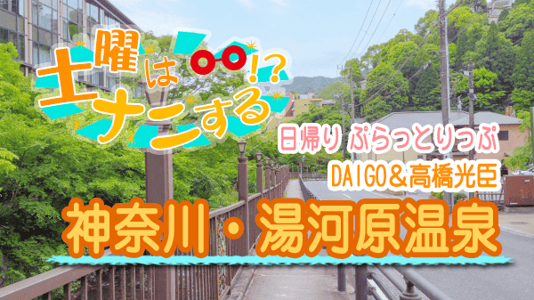 土曜はナニする 日帰り ぷらっとりっぷ DAIGO 高橋光臣 神奈川 湯河原温泉