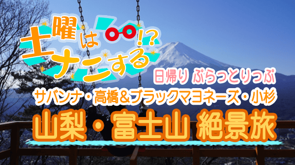 土曜はナニする 日帰り ぷらっとりっぷ サバンナ 高橋茂雄 ブラックマヨネーズ 小杉竜一 山梨 富士山 絶景旅