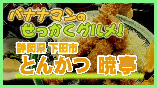 バナナマンのせっかくグルメ 静岡県 下田市 とんかつ 暁亭